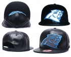 NFL Carolina Panthers hats-7259