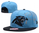 NFL Carolina Panthers hats-8000.jpg.yongshun