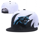 NFL Carolina Panthers hats-9004.jpg.yongshun