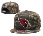 NFL Arizona Cardinals hat-20100.jpg.hang
