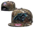 NFL Carolina Panthers hats-20011.jpg.hang