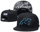 NFL Carolina Panthers hats-20012.jpg.shun