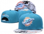 NFL Miami Dolphins-821